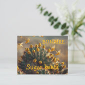 Bonaire suikervogels briefkaart (Staand voorkant)