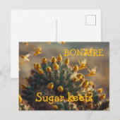 Bonaire suikervogels briefkaart (Voorkant / Achterkant)