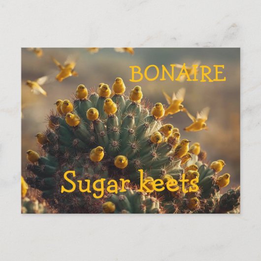 Bonaire suikervogels briefkaart (Voorkant)