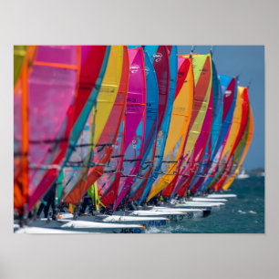 Bonaire-windsurfersposter Poster