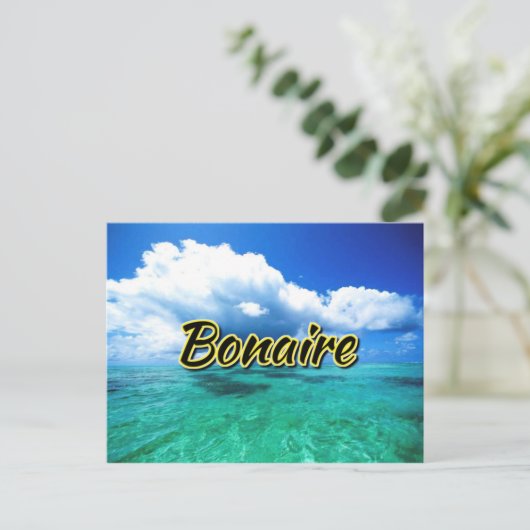 Bonaire zee sky briefkaart (Staand voorkant)