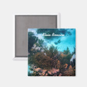 Bonaireaans rif magneet (Voorkant / Achterkant)