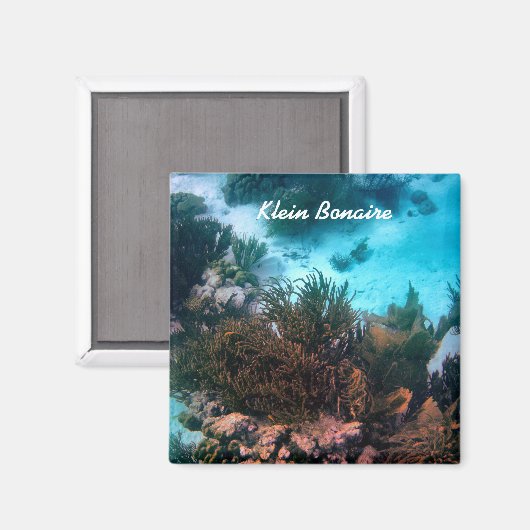Bonaireaans rif magneet (Voorkant / Achterkant)