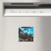 Bonaireaans rif magneet (Insitu (Vaatwasser))