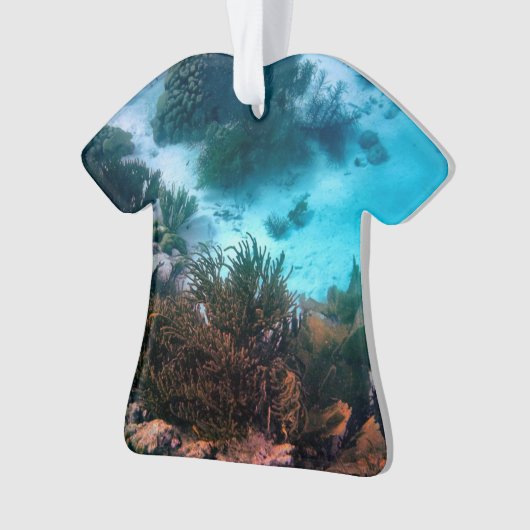 Bonaireaans rif ornament (voorkant)