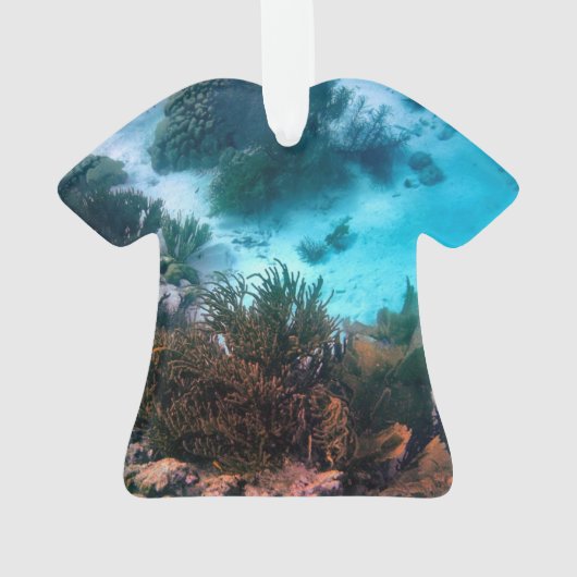 Bonaireaans rif ornament (achterkant)