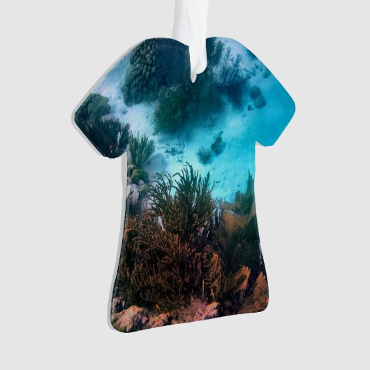 Bonaireaans rif ornament (voorkant)