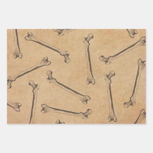  bonanatomische papierbladen inpakpapier vel (Voorkant 2)