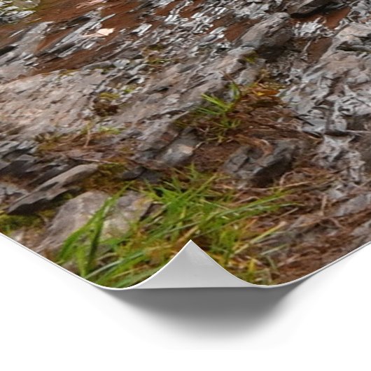 Bonanza Herfsten Poster (Hoek)