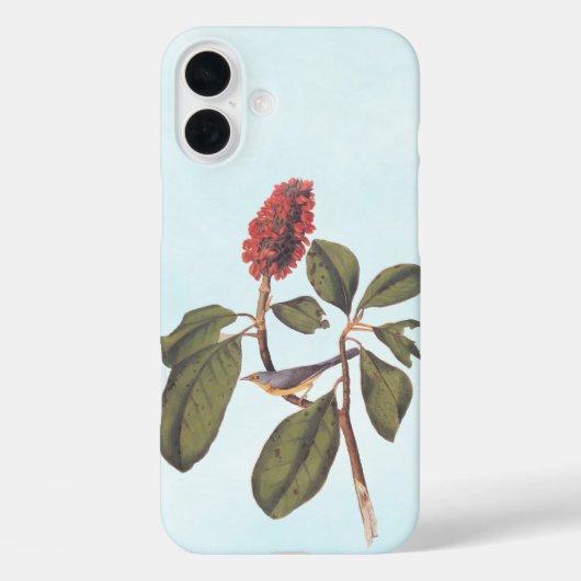 Bonaparte Flycatcher Canada Warbler Audubon Bird Case-Mate iPhone Case (Achterkant)