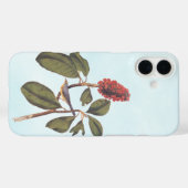 Bonaparte Flycatcher Canada Warbler Audubon Bird Case-Mate iPhone Case (Achterkant (horizontaal))