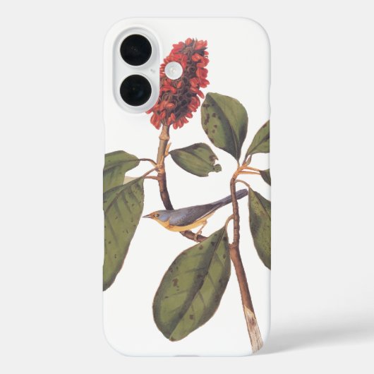 Bonaparte Flycatcher Canada Warbler Audubon Bird Case-Mate iPhone Case (Achterkant)