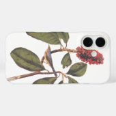 Bonaparte Flycatcher Canada Warbler Audubon Bird Case-Mate iPhone Case (Achterkant (horizontaal))