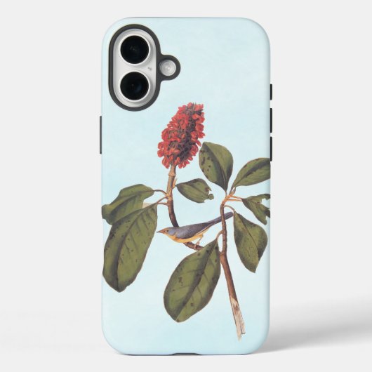 Bonaparte Flycatcher Canada Warbler Audubon Bird Case-Mate iPhone Case (Achterkant)