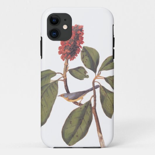 Bonaparte Flycatcher Canada Warbler Audubon Bird Case-Mate iPhone Case (Achterkant)