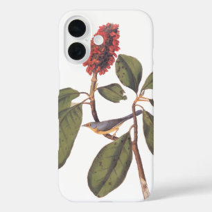 Bonaparte Flycatcher Canada Warbler Audubon Bird iPhone 16 Hoesje