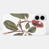 Bonaparte Flycatcher Canada Warbler Audubon Bird Case-Mate iPhone Case (Achterkant (horizontaal))