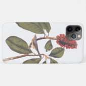 Bonaparte Flycatcher Canada Warbler Audubon Bird Case-Mate iPhone Case (Achterkant (horizontaal))
