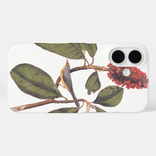 Bonaparte Flycatcher Canada Warbler Audubon Bird Case-Mate iPhone Case (Achterkant (horizontaal))