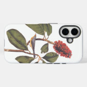 Bonaparte Flycatcher Canada Warbler Audubon Bird Case-Mate iPhone Case (Achterkant (horizontaal))