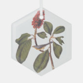 Bonaparte Flycatcher Canada Warbler Audubon Bird Glas Ornament (Voorkant)