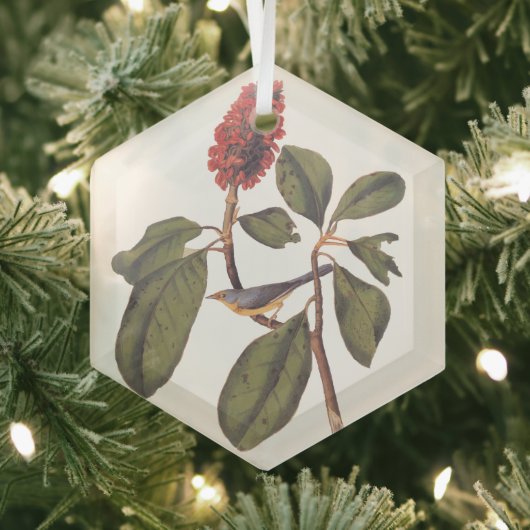 Bonaparte Flycatcher Canada Warbler Audubon Bird Glas Ornament (Insitu)