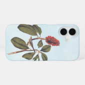Bonaparte Flycatcher Canada Warbler Audubon Bird iPhone 16 Hoesje (Achterkant horizontaal)