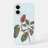 Bonaparte Flycatcher Canada Warbler Audubon Bird iPhone 16 Hoesje (Achterkant)