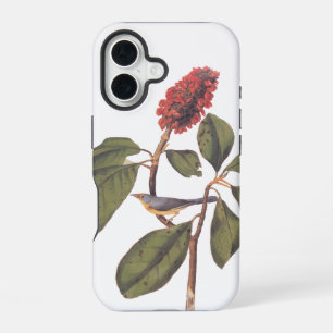 Bonaparte Flycatcher Canada Warbler Audubon Bird iPhone 16 Hoesje