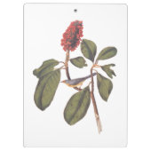 Bonaparte Flycatcher Canada Warbler Audubon Bird Klembord (Achterkant)