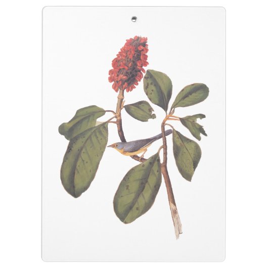 Bonaparte Flycatcher Canada Warbler Audubon Bird Klembord (Achterkant)