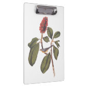 Bonaparte Flycatcher Canada Warbler Audubon Bird Klembord (Rechts)