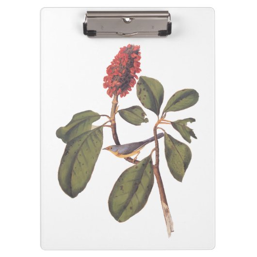 Bonaparte Flycatcher Canada Warbler Audubon Bird Klembord (Voorkant)