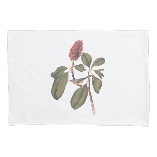 Bonaparte Flycatcher Canada Warbler Audubon Bird Kussensloop (Voorkant)