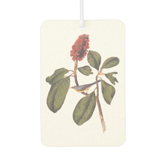 Bonaparte Flycatcher Canada Warbler Audubon Bird Luchtverfrisser (Voorkant)