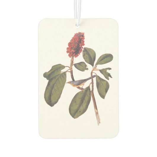 Bonaparte Flycatcher Canada Warbler Audubon Bird Luchtverfrisser (Achterkant)