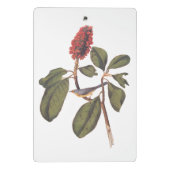 Bonaparte Flycatcher Canada Warbler Audubon Bird Mini Klembord (Achterkant)