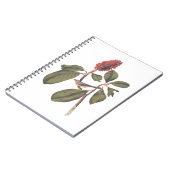 Bonaparte Flycatcher Canada Warbler Audubon Bird Notitieboek (Linkerzijde)