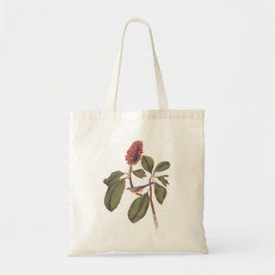 Bonaparte Flycatcher - Canada Warbler Bird  Tote Bag