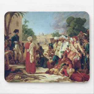 Bonaparte in Cairo Muismat