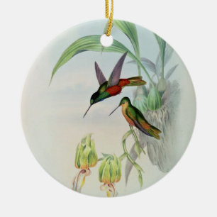 Bonaparte's Star Fronted Hummingbird (gekleurd) Keramisch Ornament