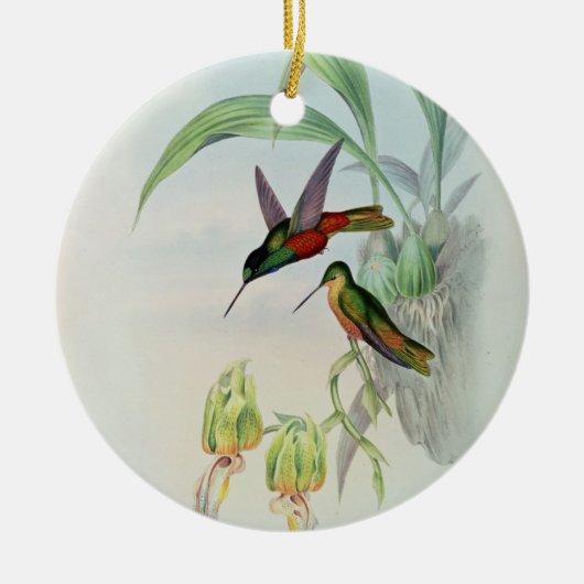 Bonaparte's Star Fronted Hummingbird (gekleurd) Keramisch Ornament (Voorkant)