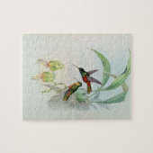 Bonaparte's Star Fronted Hummingbird (gekleurd) Legpuzzel (Horizontaal)