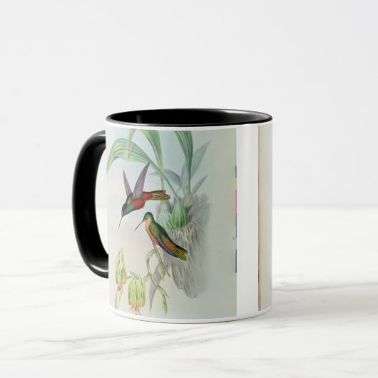 Bonaparte's Star Fronted Hummingbird (gekleurd) Mok (Voorkant links)