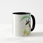 Bonaparte's Star Fronted Hummingbird (gekleurd) Mok (Voorkant rechts)