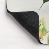 Bonaparte's Star Fronted Hummingbird (gekleurd) Muismat (Hoek)