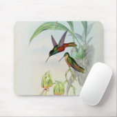 Bonaparte's Star Fronted Hummingbird (gekleurd) Muismat (Met muis)