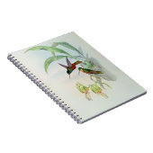 Bonaparte's Star Fronted Hummingbird (gekleurd) Notitieboek (Rechterzijde)