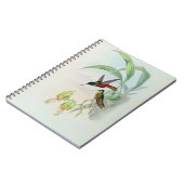 Bonaparte's Star Fronted Hummingbird (gekleurd) Notitieboek (Linkerzijde)