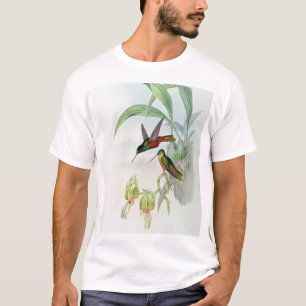 Bonaparte's Star Fronted Hummingbird (gekleurd) T-shirt